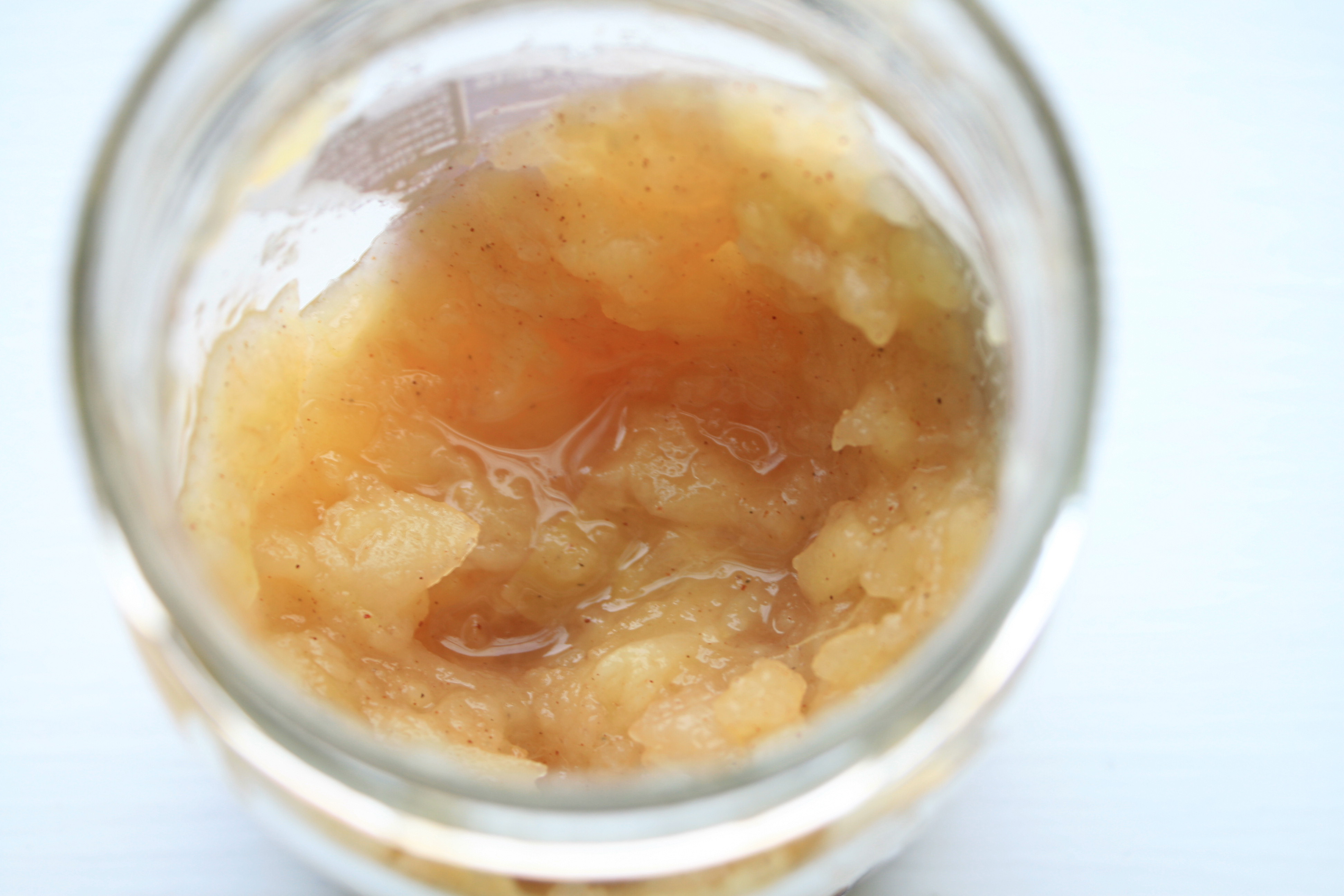 homemade applesauce in 20 minutes